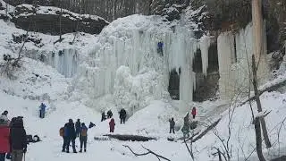 Tiffany's falls in the winter