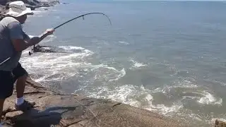 Pesca  Costeira #viral #peixe #fishing 
