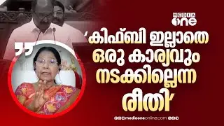 'കിഫ്ബി ഇല്ലാതെ ഒരു കാര്യവും നടക്കില്ലെന്ന രീതിയിലാണ് പോകുന്നത്'  മേരി ജോർജ്ജ്