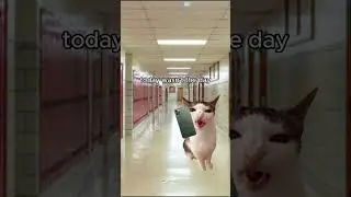 Bro You Not Coming Today?