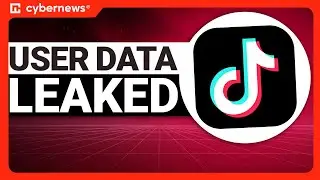 TikTok LEAKED User Data | cybernews.com