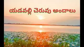 Beautiful location of Gaddamvari Yadavalli pond || Kanagal Mdl || Nalgonda || AGN Channel