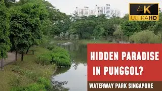 Why Punggol's Waterway Park is a Must-See - [4K Ultra HD/60fps]
