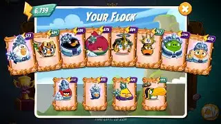 CvC Clan Battle,1st Try - No Red,Blues,Chuck,Hal - Angry Birds 2