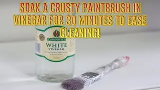 Soak a crusty paintbrush in vinegar for 30 minutes to ease cleaning!