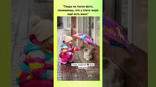 Глядя на такие фото , понимаешь, что у мира есть шанс
