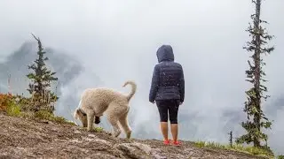 Hiking with Charlie the Labradoodle - High Rock Lookout