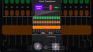Vision Transformer architecture for classification tasks