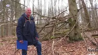 Mystische Stätten & Kraftorte im Eggegebirge bei Willebadessen Teil 2