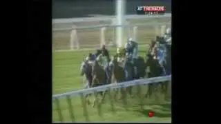 Great memories, Royal Academy winning the Breeders' Cup Mile under Lester Piggott!!