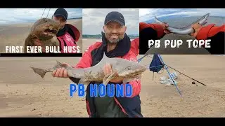 Smooth Hound Fishing - First ever Bull Huss Talacre Beach North Wales - PB SMASHED!