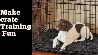 Make crate training fun!