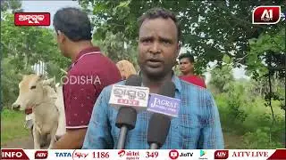 ଦାନ୍ତର ଆକ୍ରମଣରେ ଜଣଙ୍କର ମୃତ୍ୟୁ  | ANGUL NEWS |@a1odisha