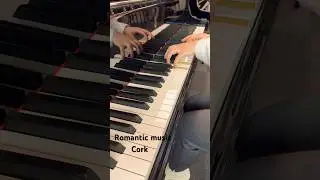 Romantic music #piano #music #pianomusic #classicalmusic #pianocover #musician #classical #cover