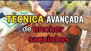 Preparo de Terra e Adubação para Balainhos de Plástico polietileno Transplante de Mudas com Sucesso 