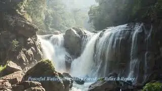 3 Hours Hyper-Realistic Waterfall Sounds in Misty Forest Paradise | Turquoise Pool Relaxation
