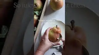 The only way to eat a Royal Riviera Pear