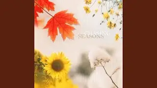 Blooming Fields