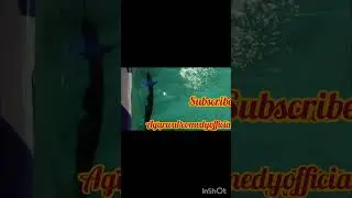 Dimapur Biggest Aquarium Mela Vlog 🇮🇳 | Burma Camp Full Tour 🐠🎡! Agarwal comedy official 