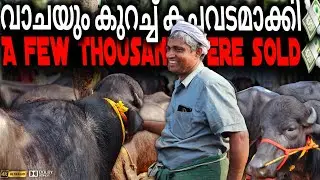 🐃വാചയും കുറച്ച് കച്ചവടമാക്കി💸A FEW THOUSANDS WERE SOLD | Chattipparamba Chanda|Buffalo Market Kerala