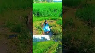 &ldquo;A peaceful village, green paddy fields, and a simple life 🌾 | Village life in Sri Lanka&rdquo;#srilanka