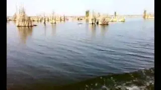 asif junejo at chotiari dam.mp4