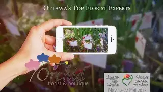 Flower Boy - Canada 150 | Orchid Florist