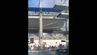 2016 USA Diving Olympic Trials Final Qualification Event(2)