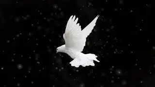 [FREE FOR PROFIT] Doxx x Klem Schen Type Beat 2021 