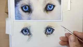 How to paint a dog's blue eyes