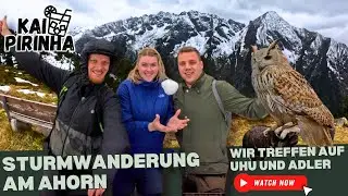 Schlechtwetter-Wanderung am Ahorn in Mayrhofen: Greifv&ouml;gel & Aussichten im Zillertal