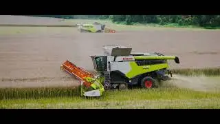 Żniwa 2024 Haase Farm
