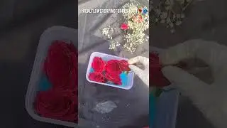 Real Flower Drying for Resin Art 🌹✨ |#resinart #flowerdrying #realflowers #resinprocess #shorts