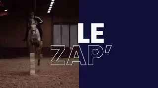 LE ZAP'