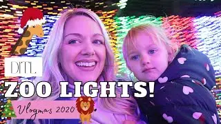 ZOOLIGHTS 2020| Jacksonville Zoo and Gardens| Day in the Life with a Toddler and Infant