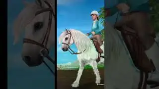 watch me make a star stable photo edit! (from TikTok) - star stable