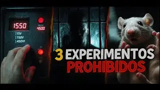 3 Experimentos Psicológicos que Destruyen Todo lo que Crees de Ti Mismo