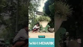 KETIKA MAU ROMANTIS TAPI GAK ADA BUNGA