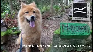 Raika und die Sauerlandstones🐕