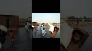 help in Flood #shorts