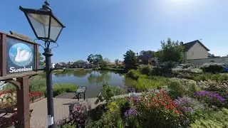 Swanland village pond - August 2020