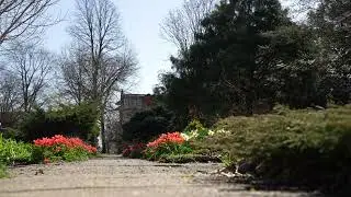 4k Champaign Urbana