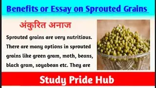Essay on Sprouted Grains | Benefits of Sprouted Grains | Essay on Healthy Food