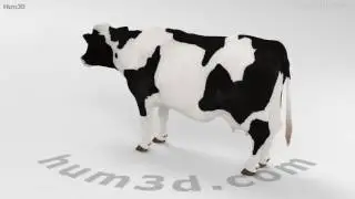 Cow 3D model by 3DModels.org