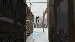 Lache In the Snow #shorts #anw #lache