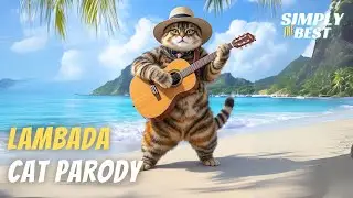 Ламбада л смешная пародия на милого кота