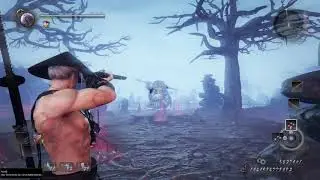 Nioh [1.22] - 5 Different Build: Stone, Rifle, Hand Cannon, Kunai and Horoku-dama