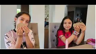 Bitito in the Digital World | Proyecto Science Fair 2026 &ndash; Valentina & Sarita