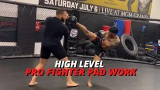 Kickboxing For MMA With Phumi Nkunta | Boxing and Kickboxing Pad Work