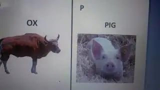 Photo dictionary- final